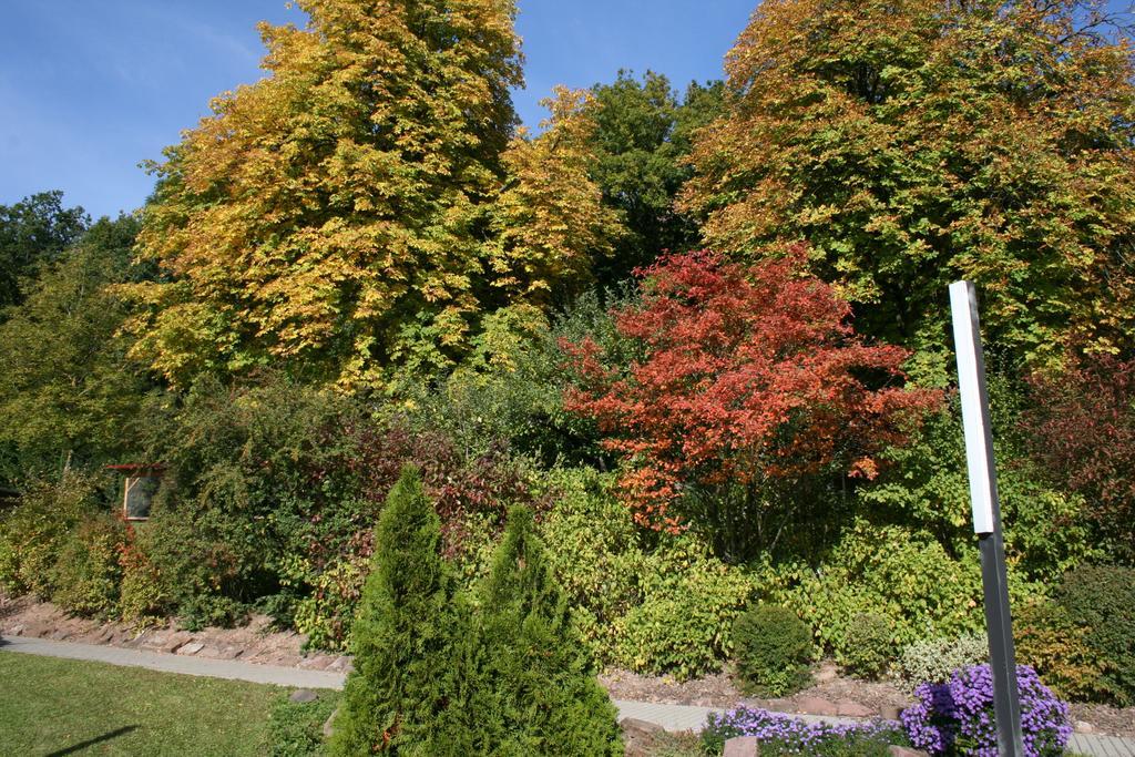 Seniorenresidenz Parkwohnstift Bad Kissingen Exteriér fotografie
